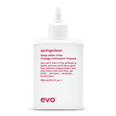 EVO Springclean 300ml_1