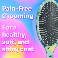 WetBrush Petbrush Detangler Large_2