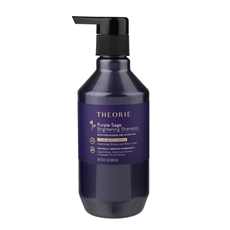 THEORIE BLONDE SHAMPOO PURPLE SAGE 400ML_1